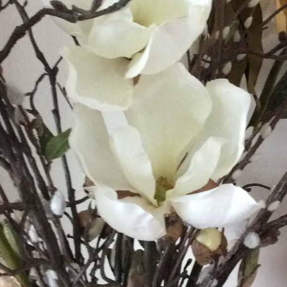 Meet your Posher, Bonny - Picture 1 of 1